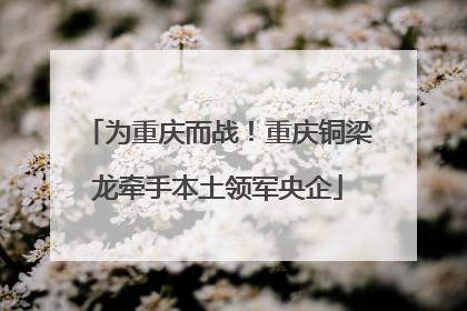 为重庆而战！重庆铜梁龙牵手本土领军央企