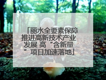 丽水全要素保障推进高新技术产业发展 高“含新量”项目加速落地