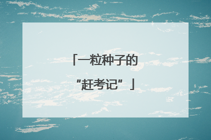 一粒种子的“赶考记”