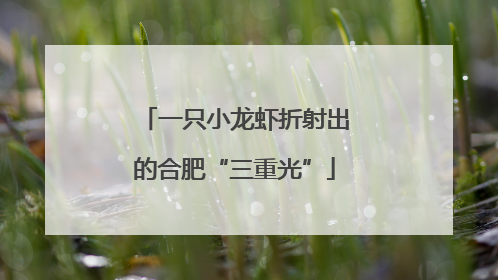 一只小龙虾折射出的合肥“三重光”