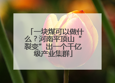 一块煤可以做什么？河南平顶山“裂变”出一个千亿级产业集群