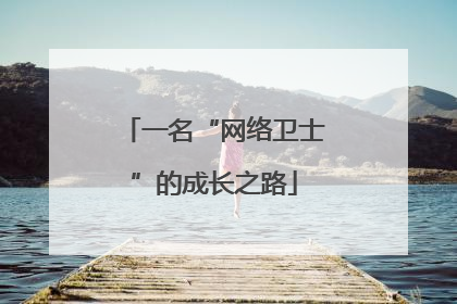 一名“网络卫士”的成长之路