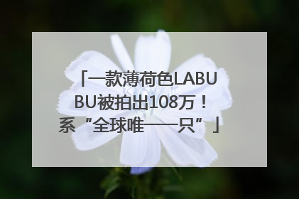 一款薄荷色LABUBU被拍出108万！系“全球唯一一只”
