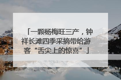 一颗杨梅旺三产，钟祥长滩四季采摘带给游客“舌尖上的惊喜”