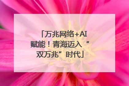 万兆网络+AI赋能！青海迈入“双万兆”时代