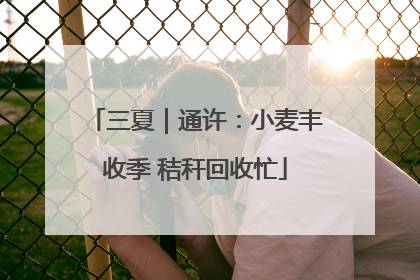 三夏｜通许：小麦丰收季 秸秆回收忙