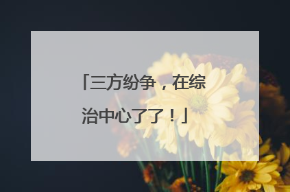三方纷争，在综治中心了了！