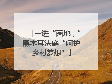 三进“菌地，”黑木耳法庭“呵护乡村梦想”