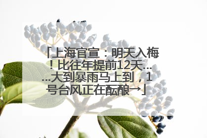 上海官宣：明天入梅！比往年提前12天……大到暴雨马上到，1号台风正在酝酿→