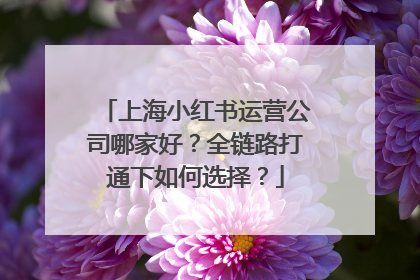 上海小红书运营公司哪家好？全链路打通下如何选择？
