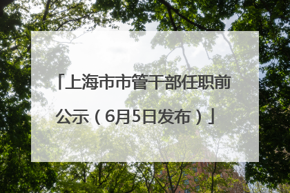 上海市市管干部任职前公示（6月5日发布）