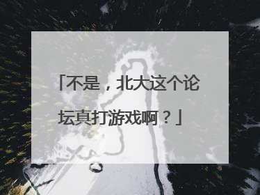 不是，北大这个论坛真打游戏啊？