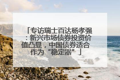 专访瑞士百达杨孝强：新兴市场债券投资价值凸显，中国债券适合作为“稳定器”