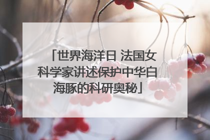 世界海洋日 法国女科学家讲述保护中华白海豚的科研奥秘
