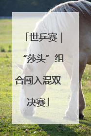 世乒赛｜“莎头”组合闯入混双决赛