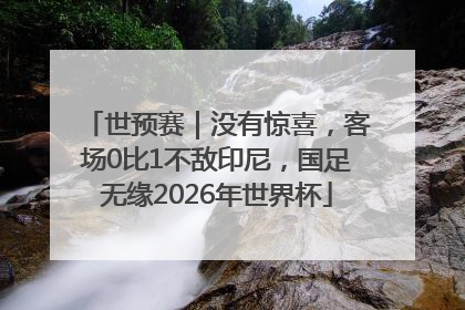 世预赛｜没有惊喜，客场0比1不敌印尼，国足无缘2026年世界杯