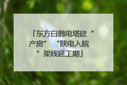 东方白鹳电塔建“产房” “陕电入皖”架线延工期