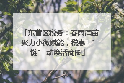 东营区税务：春雨润苗聚力小微赋能，税惠 “链” 动焕活商圈