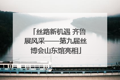 丝路新机遇 齐鲁展风采——第九届丝博会山东馆亮相