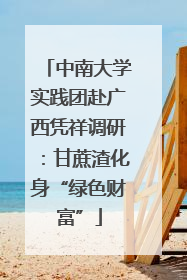 中南大学实践团赴广西凭祥调研：甘蔗渣化身“绿色财富”