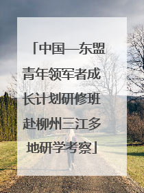 中国—东盟青年领军者成长计划研修班赴柳州三江多地研学考察