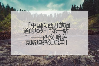 中国向西开放通道的境外“第一站”——西安·哈萨克斯坦码头启用