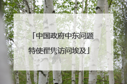 中国政府中东问题特使翟隽访问埃及