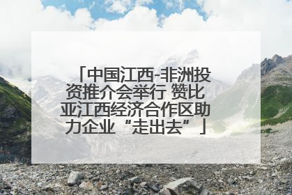 中国江西-非洲投资推介会举行 赞比亚江西经济合作区助力企业“走出去”