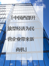 中国西部开放型经济为民营企业带来新商机