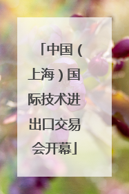 中国（上海）国际技术进出口交易会开幕
