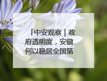 中安观察｜政府透明度，安徽何以稳居全国第一方阵？