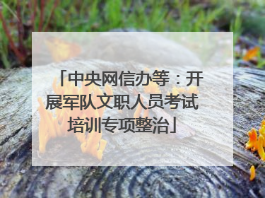 中央网信办等：开展军队文职人员考试培训专项整治