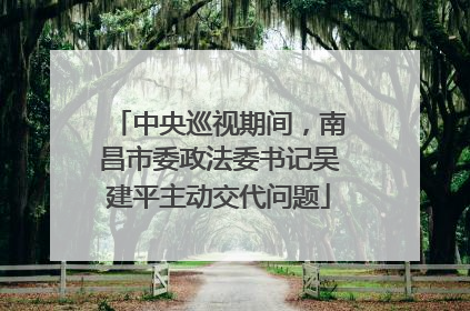 中央巡视期间，南昌市委政法委书记吴建平主动交代问题