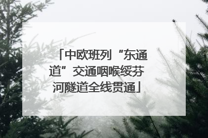 中欧班列“东通道”交通咽喉绥芬河隧道全线贯通