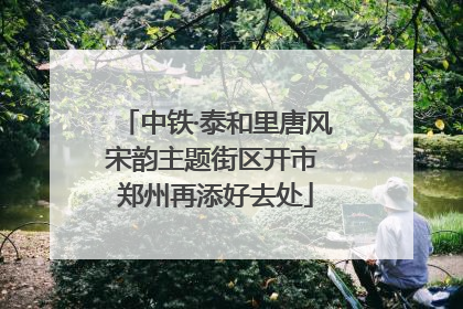 中铁·泰和里唐风宋韵主题街区开市 郑州再添好去处