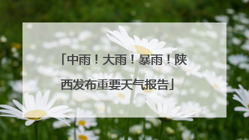 中雨！大雨！暴雨！陕西发布重要天气报告