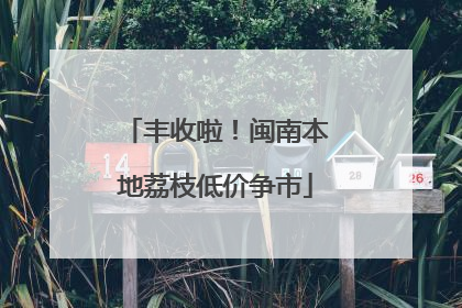 丰收啦！闽南本地荔枝低价争市