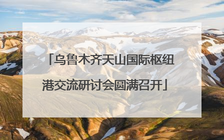 乌鲁木齐天山国际枢纽港交流研讨会圆满召开