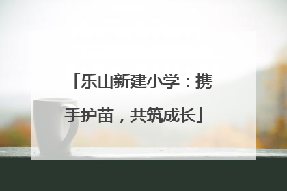 乐山新建小学：携手护苗，共筑成长