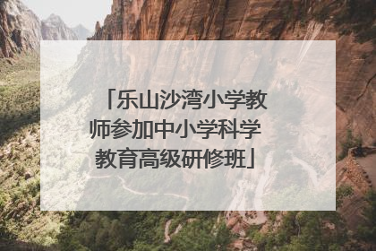 乐山沙湾小学教师参加中小学科学教育高级研修班