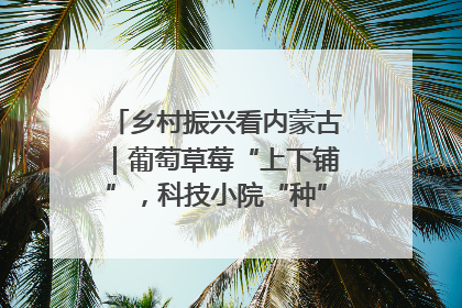 乡村振兴看内蒙古｜葡萄草莓“上下铺”，科技小院“种”出三倍效益