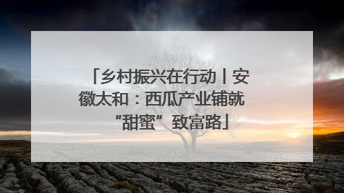 乡村振兴在行动丨安徽太和：西瓜产业铺就“甜蜜”致富路