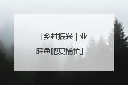 乡村振兴｜业旺鱼肥夏捕忙