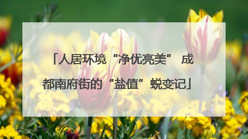 人居环境“净优亮美” 成都南府街的“盐值”蜕变记