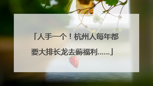 人手一个！杭州人每年都要大排长龙去薅福利……