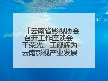 云南省影视协会召开工作座谈会 于荣光、王砚辉为云南影视产业发展出谋划策