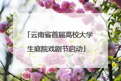 云南省首届高校大学生庭院戏剧节启动