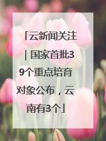 云新闻关注｜国家首批39个重点培育对象公布，云南有3个