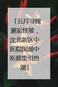 五月寻槐邂逅怪坡，沈北新区中医院国潮中医雅集引热潮