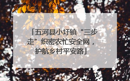 五河县小圩镇“三步走”织密农忙安全网，护航乡村平安路